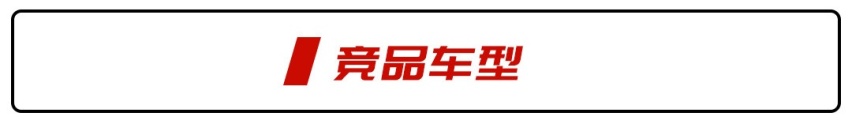 平民版“玛莎”！零百39秒+隐藏式门半岛官网把手 网友：美人豹既视感！(图7)