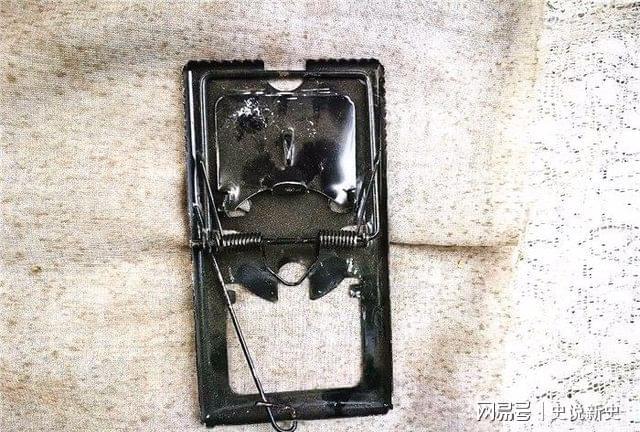 路边摊卖的农用和半岛官网家用小工具你知道用途的有几种？(图4)